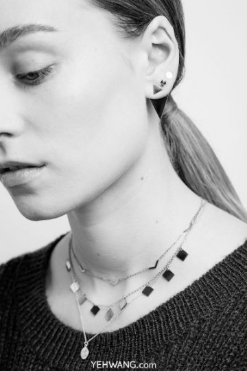 Bird figures zilvfoto