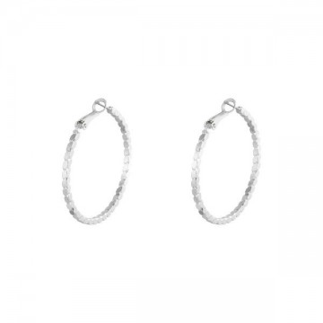 Hoops di zilver